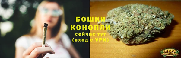 прущие грибы Беломорск