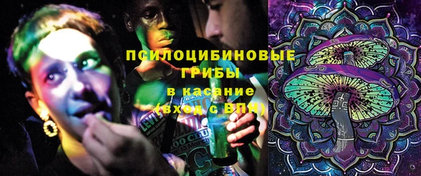 ПСИЛОЦИБИНОВЫЕ ГРИБЫ Белоозёрский