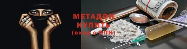 прущие грибы Беломорск