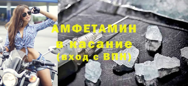 прущие грибы Беломорск