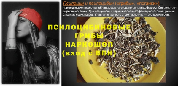 прущие грибы Беломорск