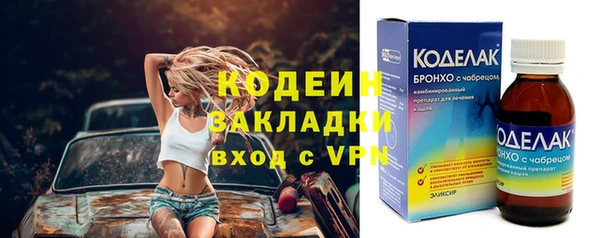 прущие грибы Беломорск