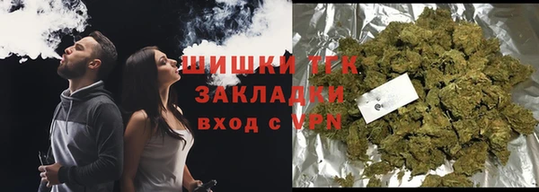 прущие грибы Беломорск