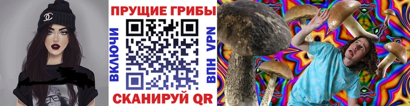 Галлюциногенные грибы GOLDEN TEACHER  даркнет официальный сайт  Называевск  хочу наркоту 